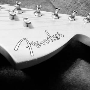 Meet your Posher, Fender